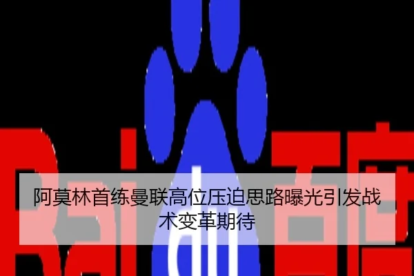 阿莫林首练曼联高位压迫思路曝光引发战术变革期待